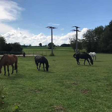 Beim Hofbauer Appartement Tittmoning