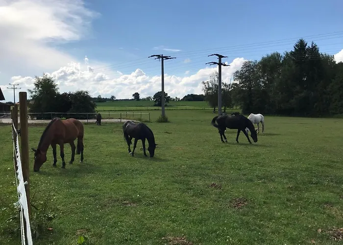 Beim Hofbauer Appartement Tittmoning